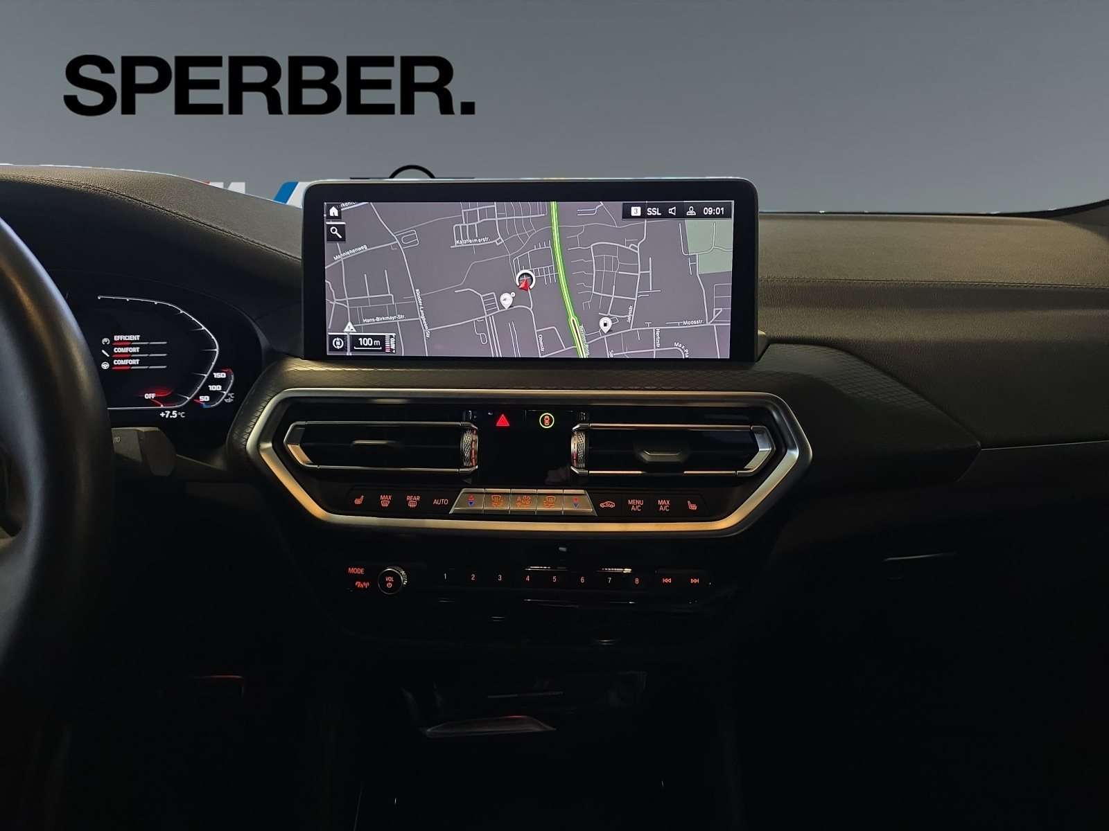 Fahrzeugbild eines BMW X4