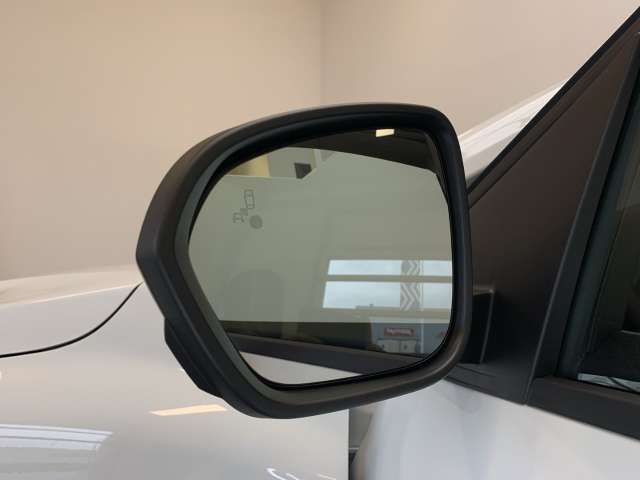 Fahrzeugbild eines Dacia Jogger