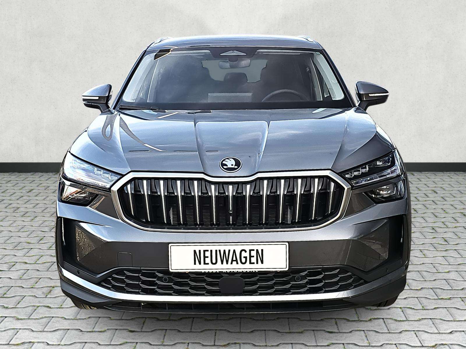 Fahrzeugbild eines Skoda Kodiaq