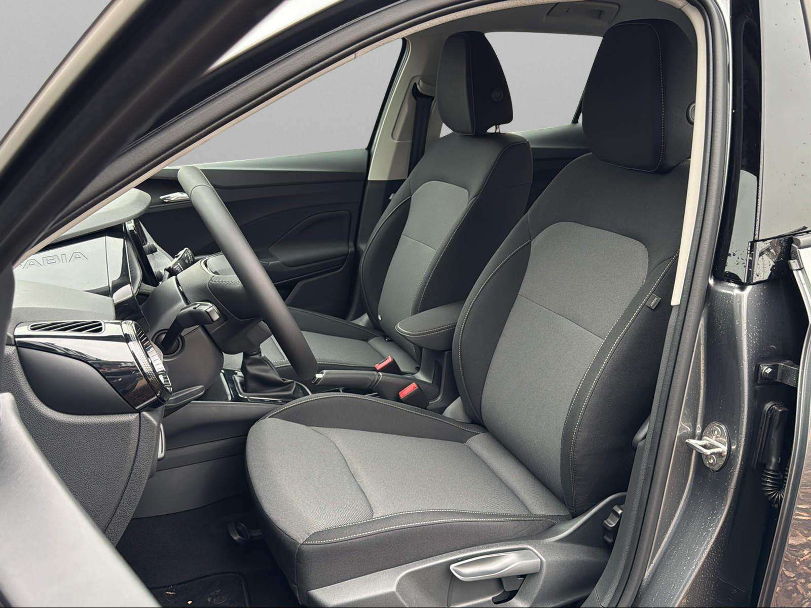 Fahrzeugbild eines Skoda Fabia