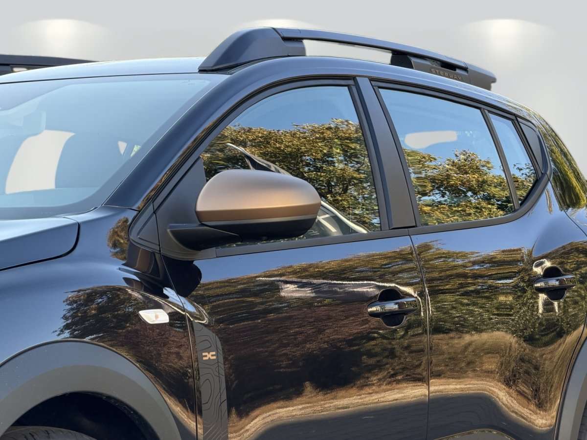 Fahrzeugbild eines Dacia Sandero