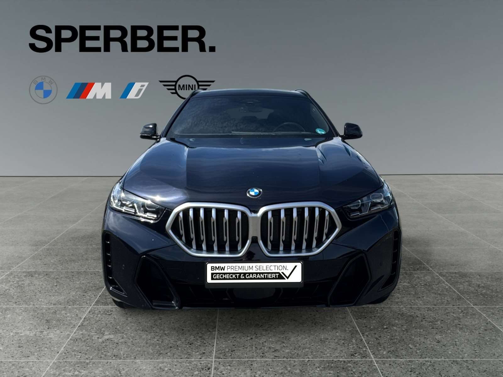 Fahrzeugbild eines BMW X6