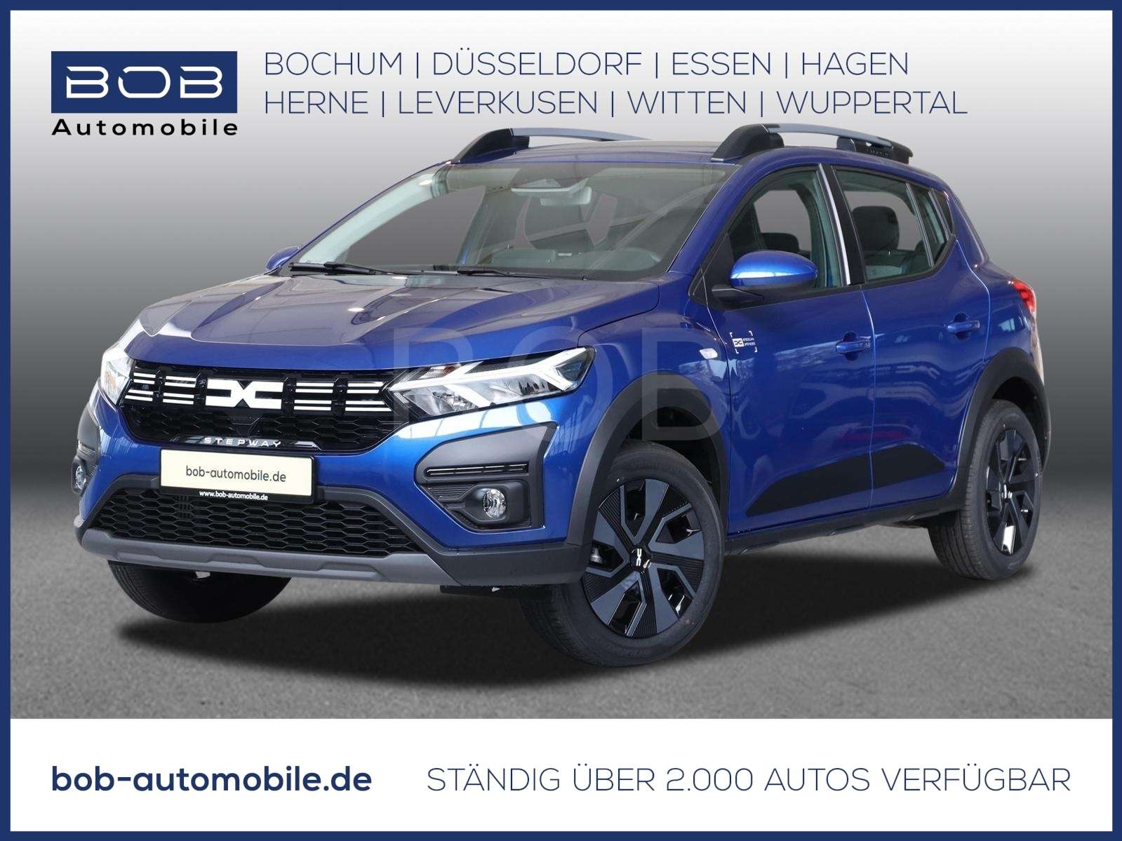 Fahrzeugbild eines Dacia Sandero