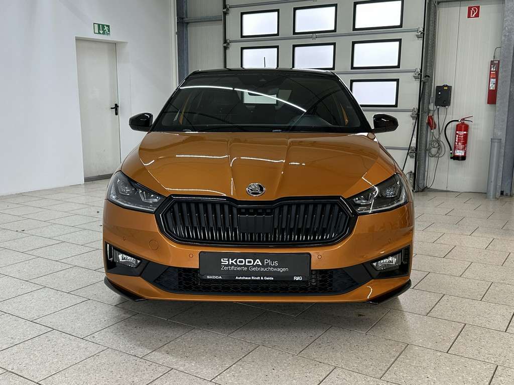 Fahrzeugbild eines Skoda Fabia