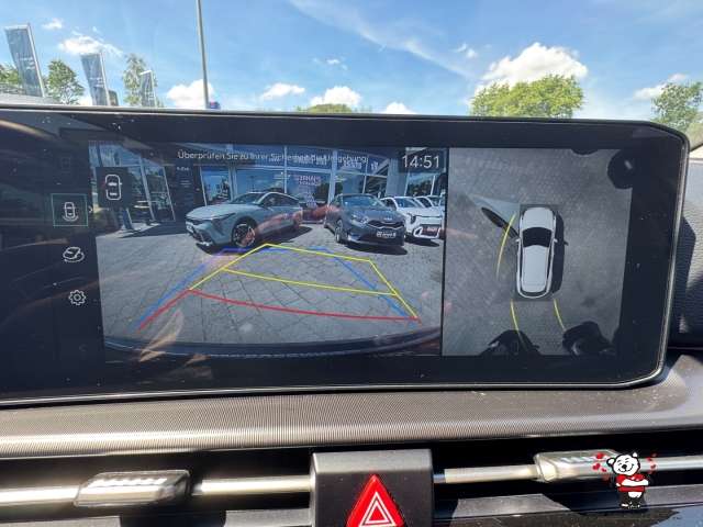 Fahrzeugbild eines Kia Sportage