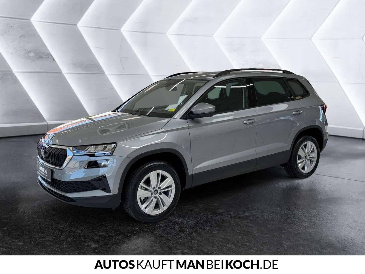Fahrzeugbild eines Skoda Karoq