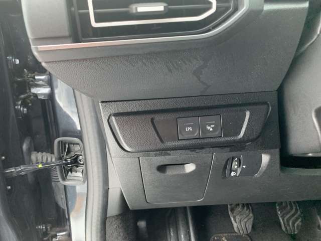 Fahrzeugbild eines Dacia Jogger