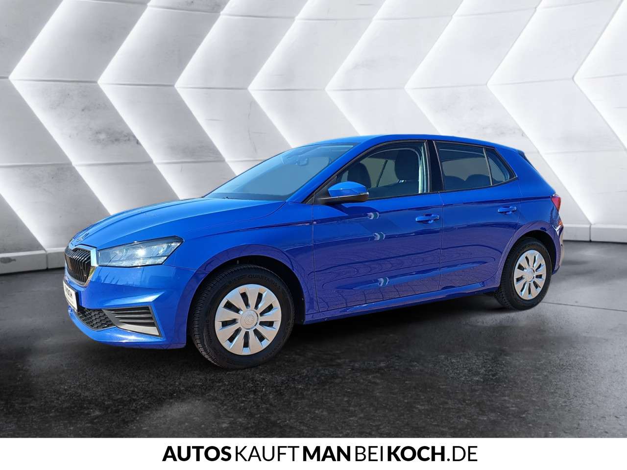 Fahrzeugbild eines Skoda Fabia