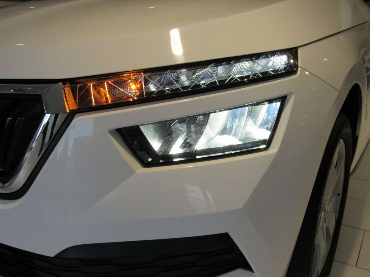 Fahrzeugbild eines Skoda Kamiq