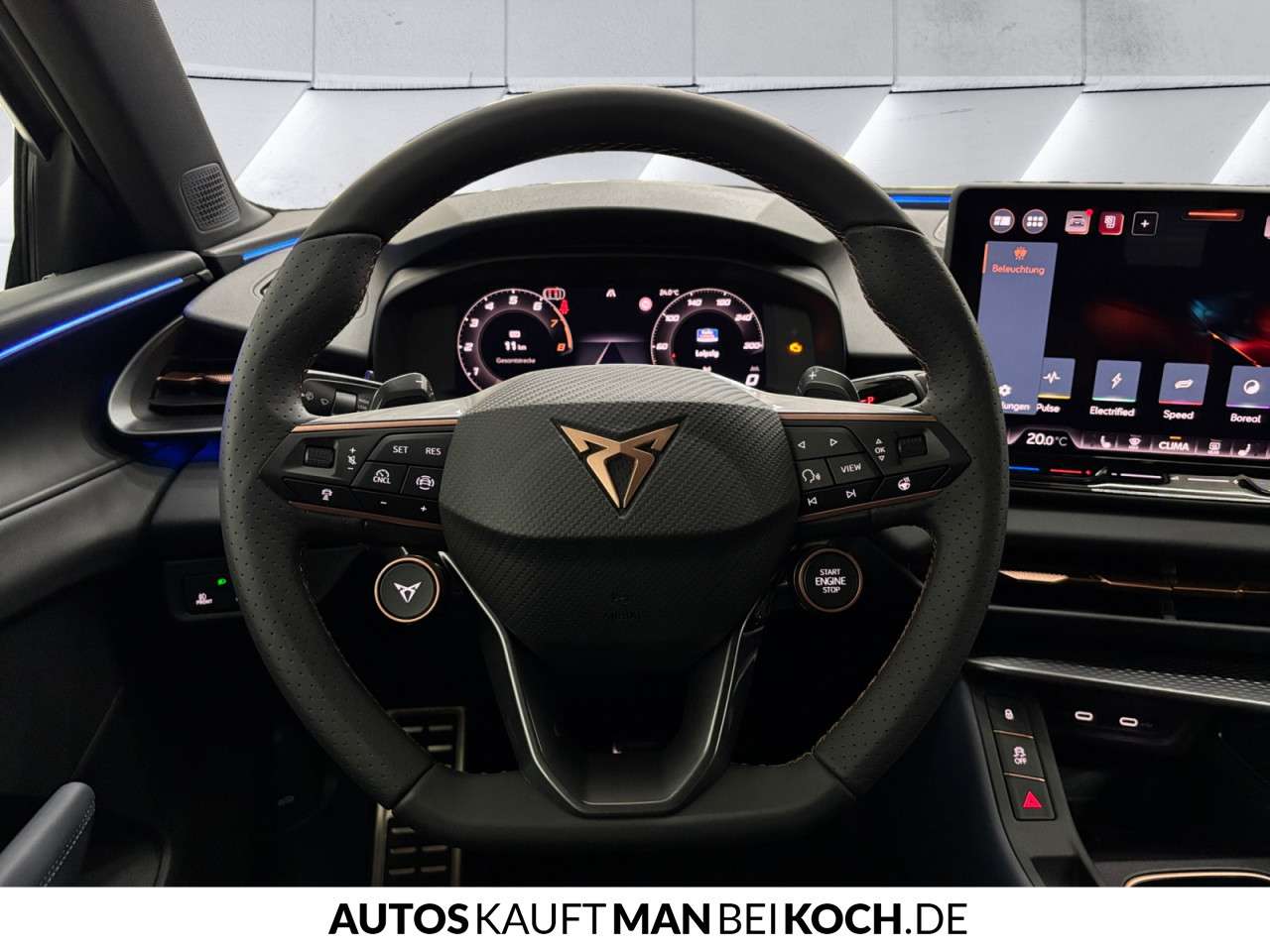 Fahrzeugbild eines CUPRA Terramar