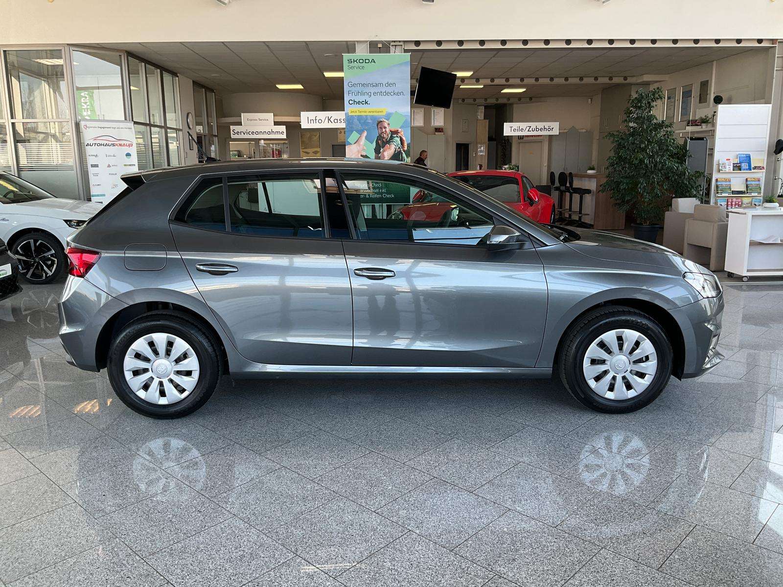 Fahrzeugbild eines Skoda Fabia