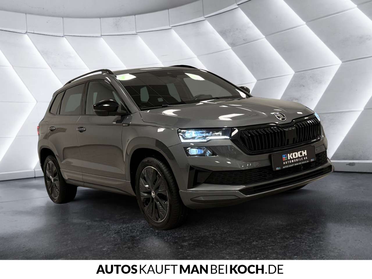 Fahrzeugbild eines Skoda Karoq