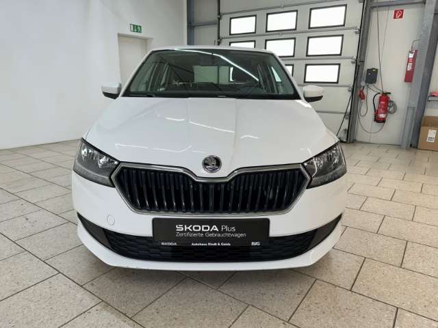 Fahrzeugbild eines Skoda Fabia