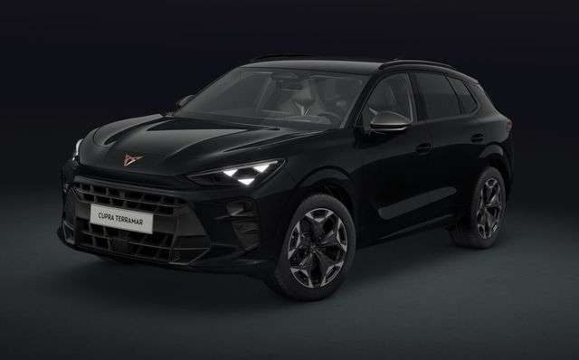 Fahrzeugbild eines CUPRA Terramar