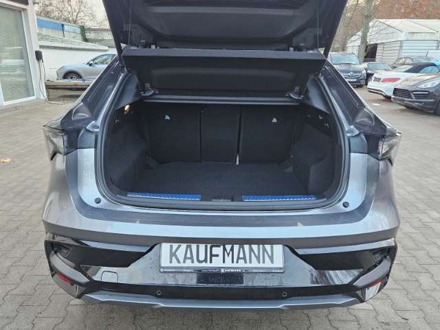 Fahrzeugbild eines Renault Rafale