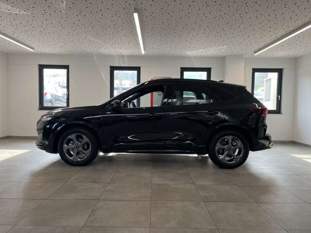 Fahrzeugbild eines Ford Kuga