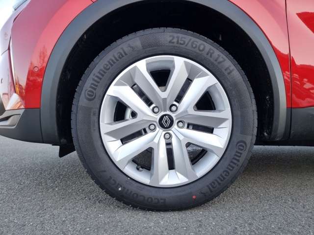 Fahrzeugbild eines Renault Symbioz