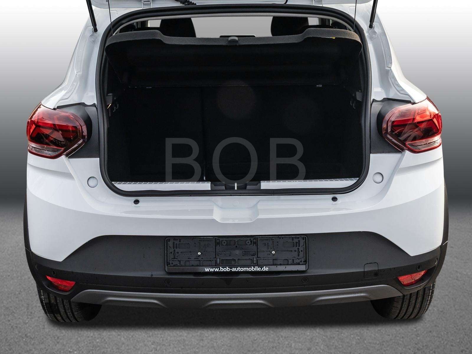 Fahrzeugbild eines Dacia Sandero