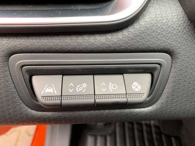 Fahrzeugbild eines Renault Clio