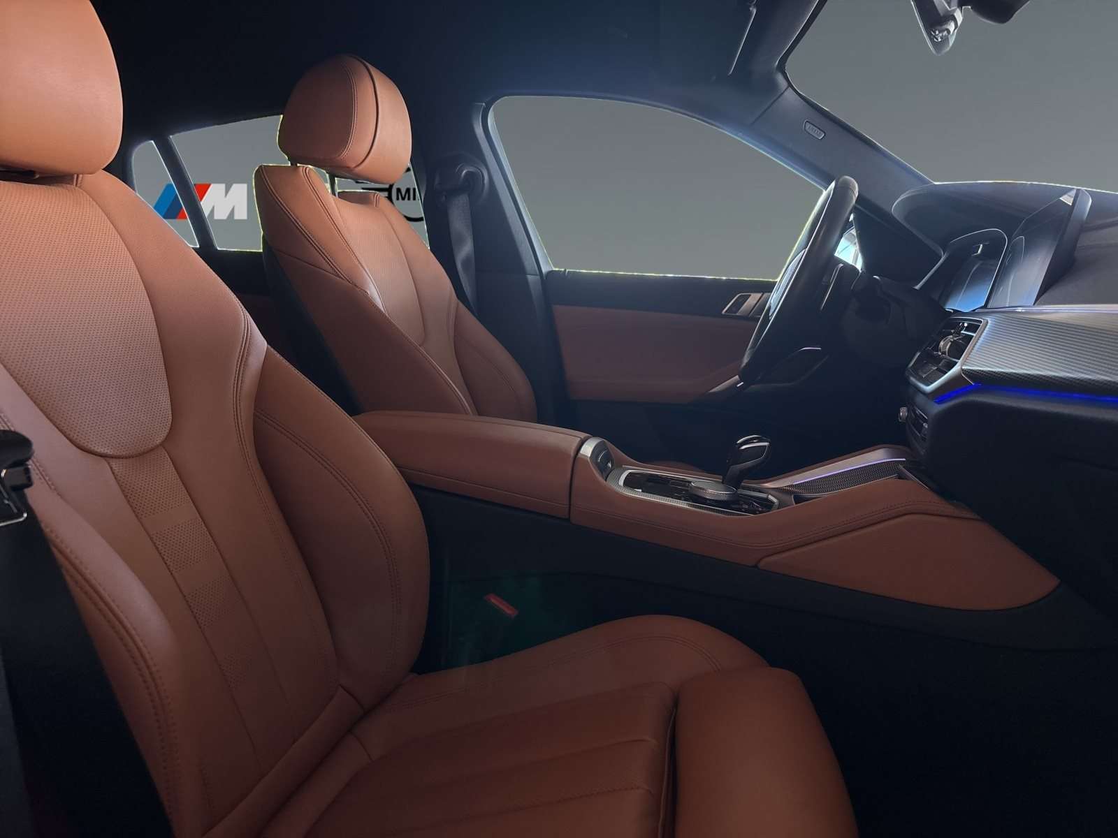 Fahrzeugbild eines BMW X6