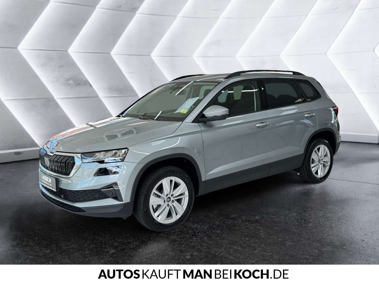 Fahrzeugbild eines Skoda Karoq