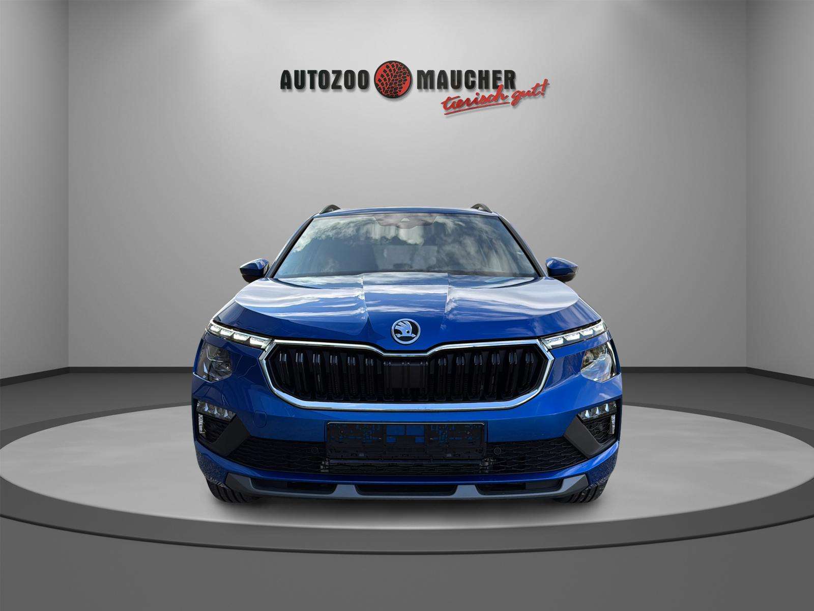 Fahrzeugbild eines Skoda Kamiq