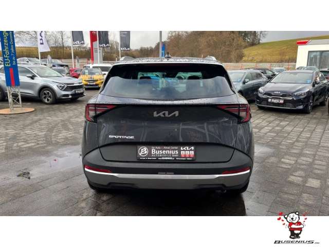 Fahrzeugbild eines Kia Sportage