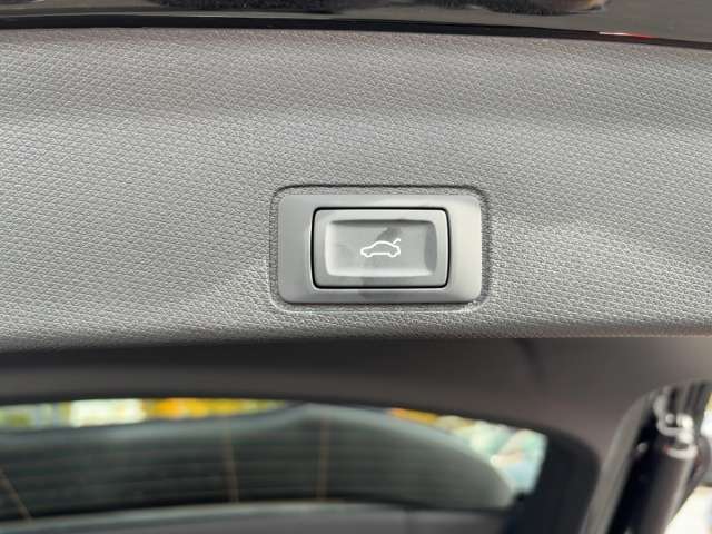 Fahrzeugbild eines CUPRA Terramar