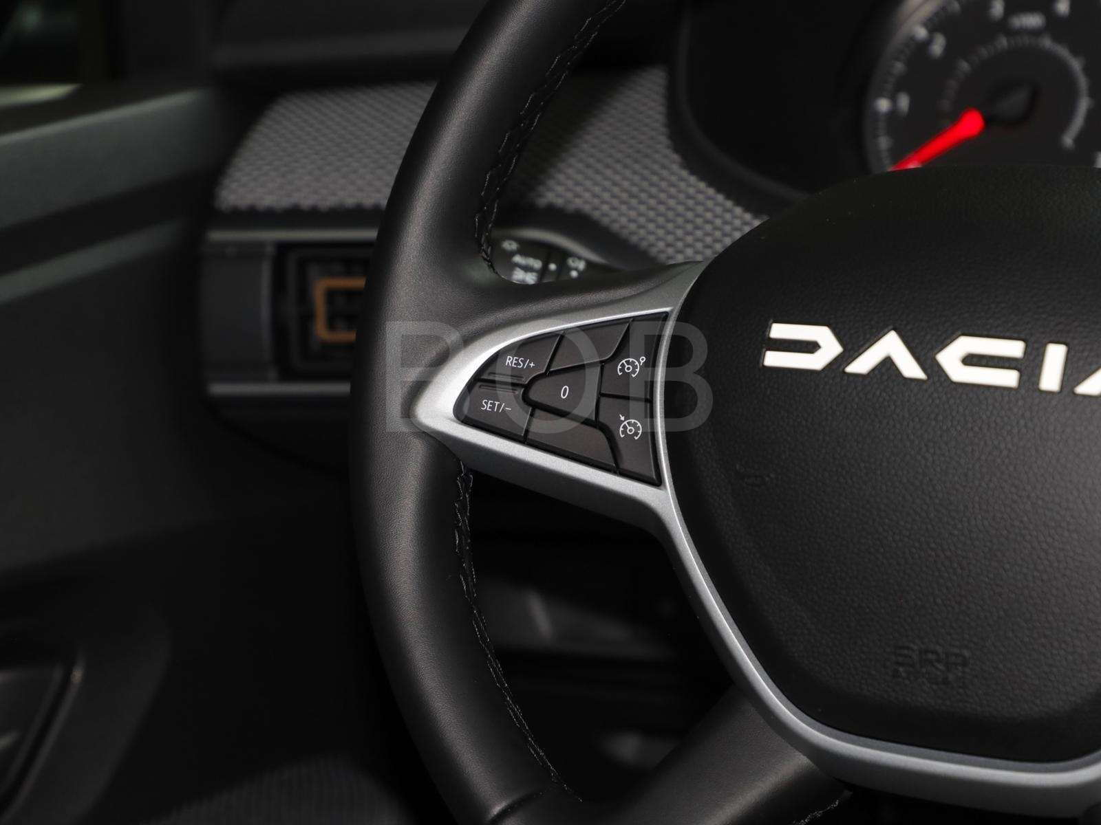 Fahrzeugbild eines Dacia Sandero