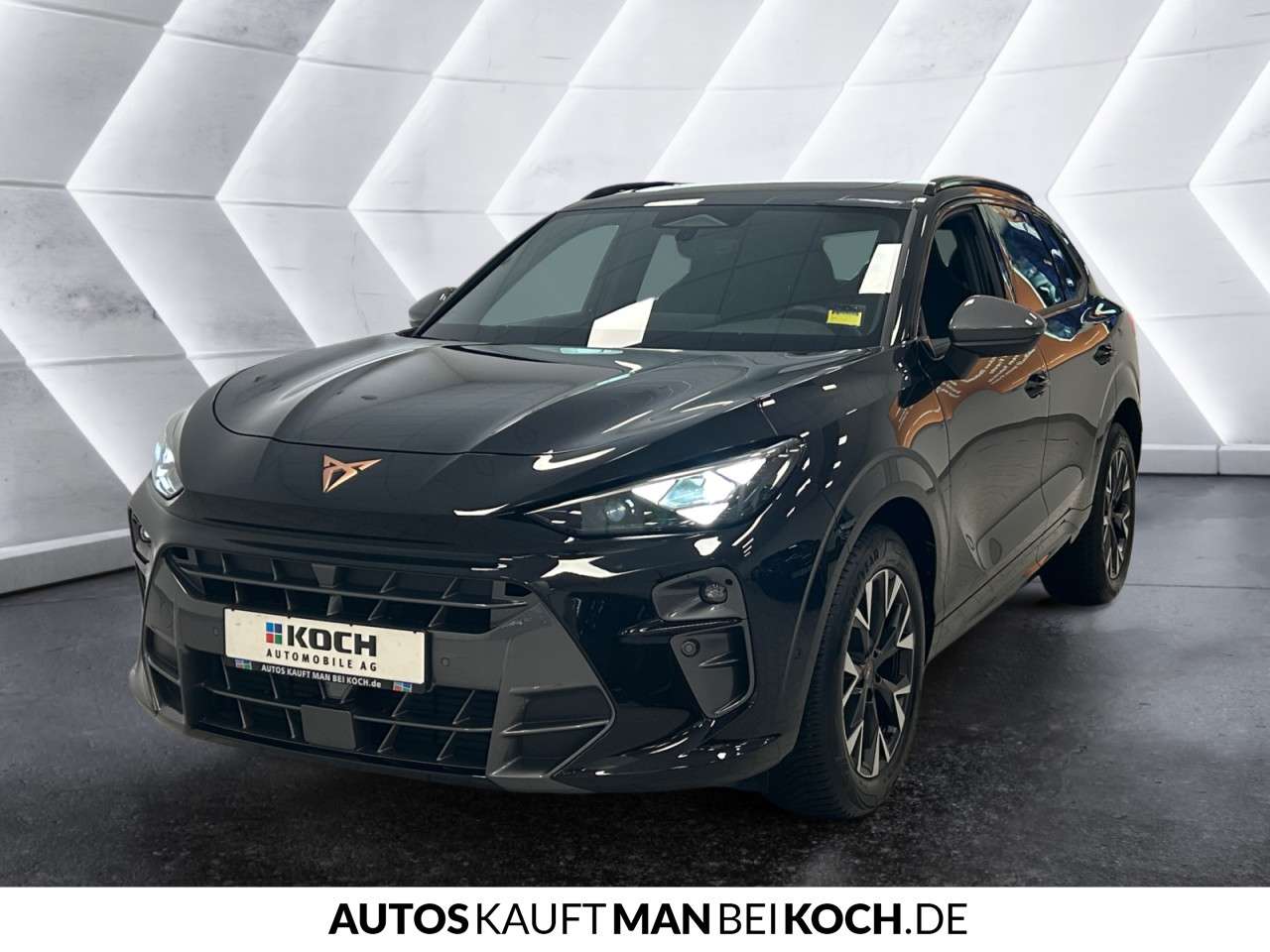 Fahrzeugbild eines CUPRA Terramar