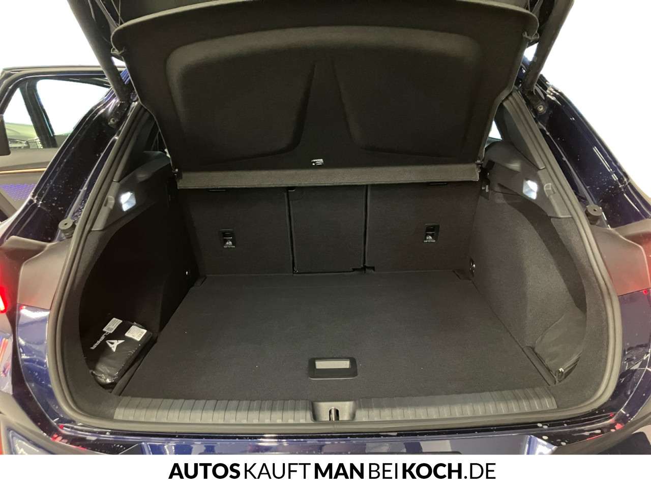 Fahrzeugbild eines CUPRA Terramar