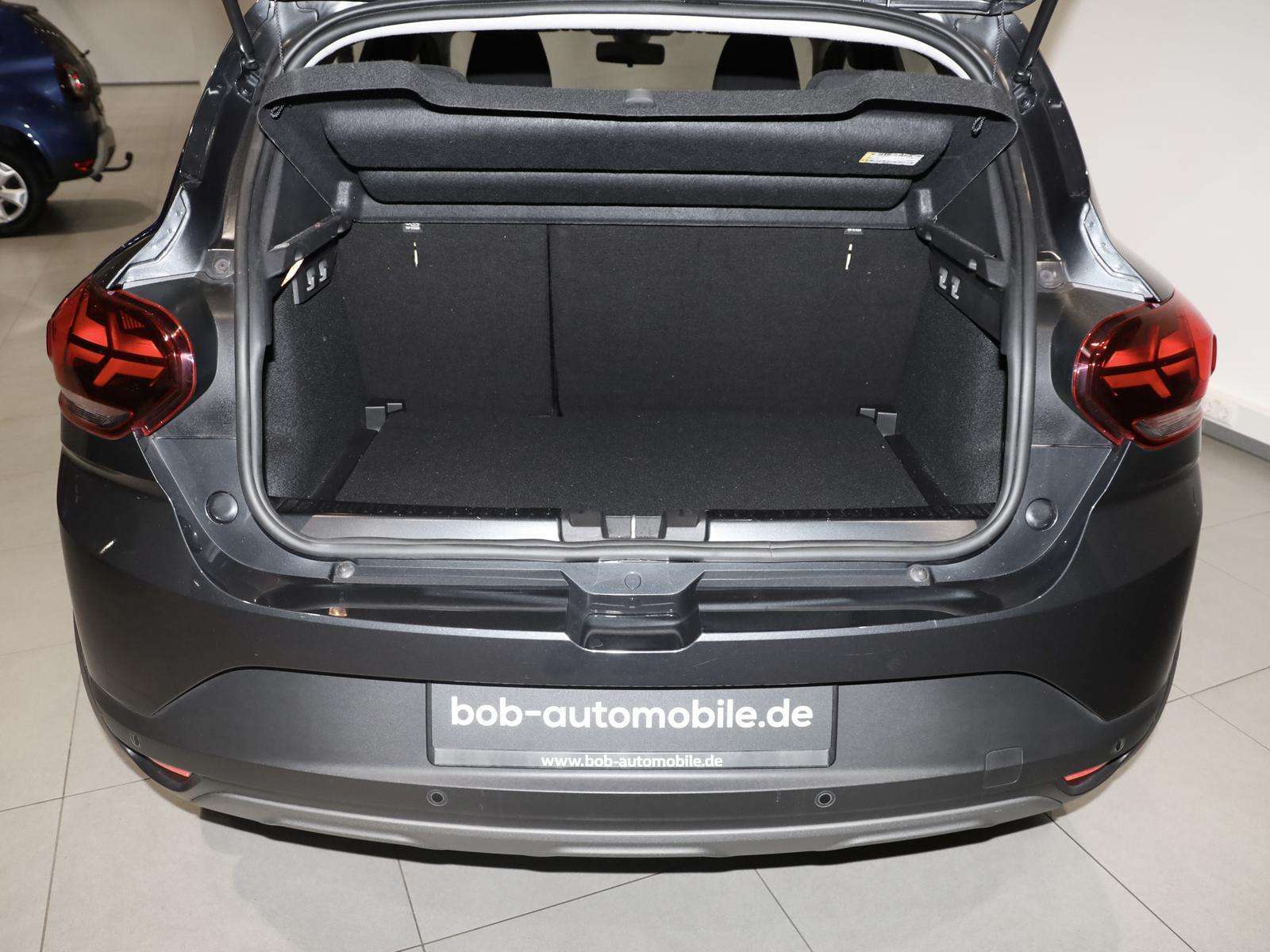 Fahrzeugbild eines Dacia Sandero