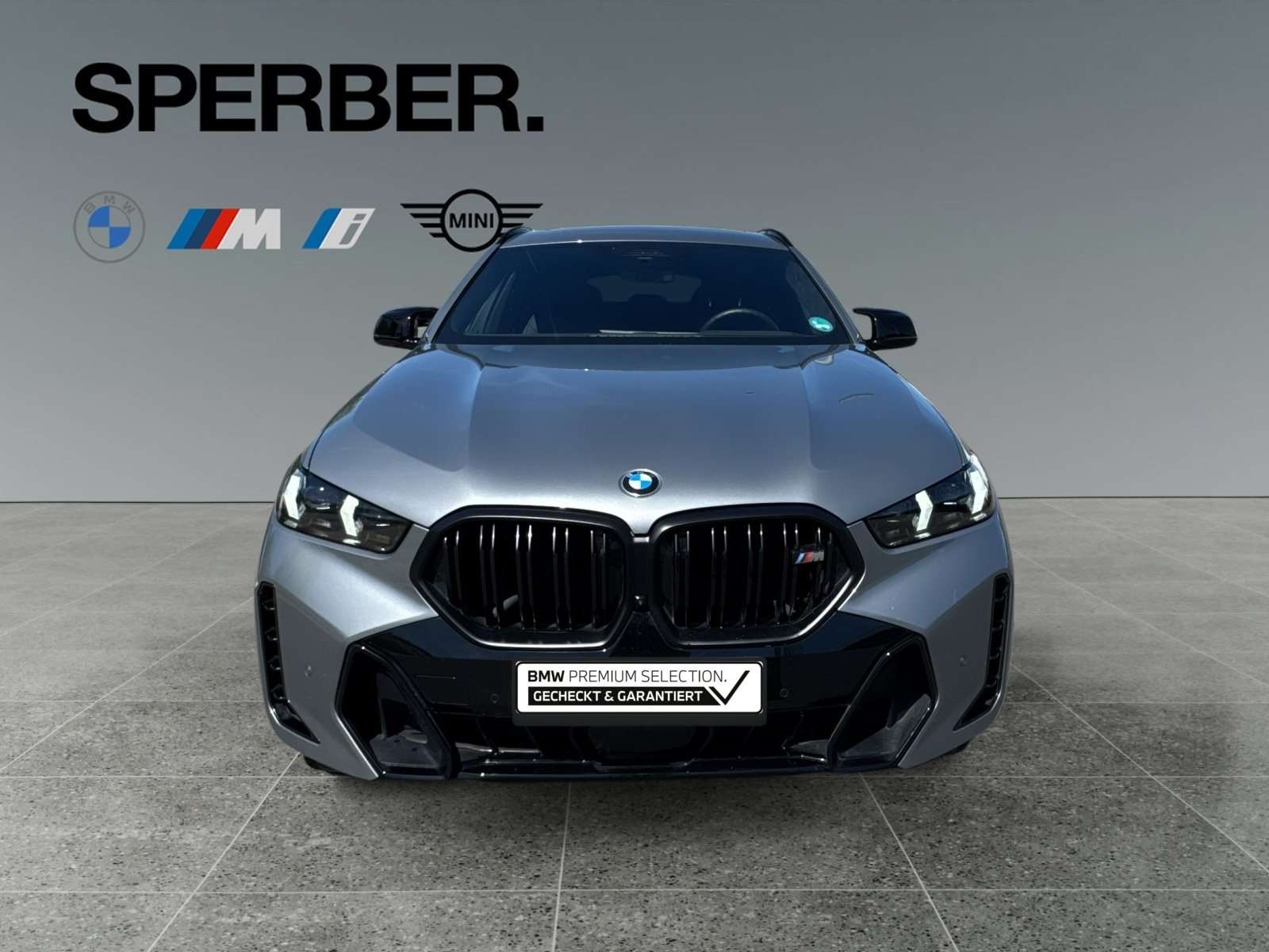 Fahrzeugbild eines BMW X6