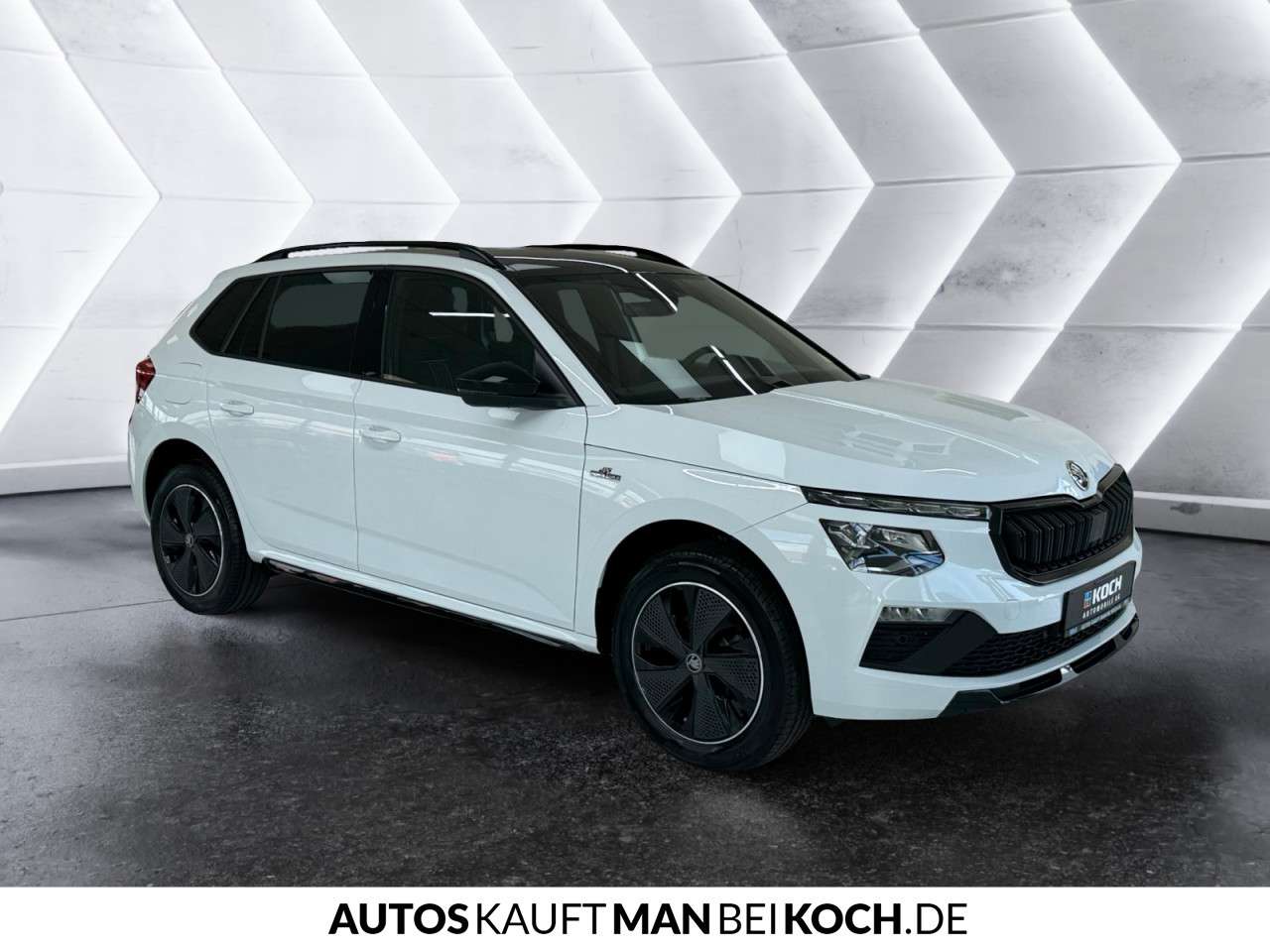 Fahrzeugbild eines Skoda Kamiq