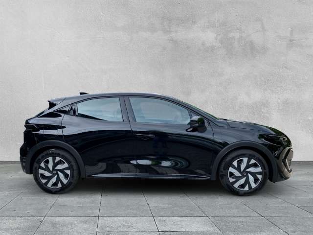 Fahrzeugbild eines Renault Clio