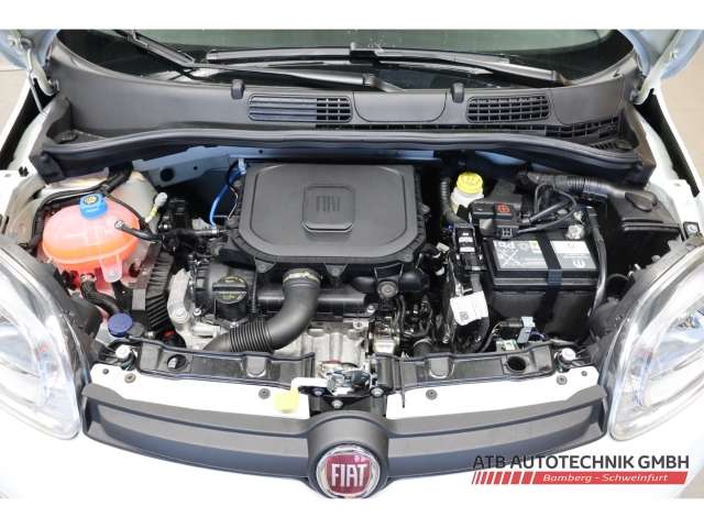 Fahrzeugbild eines Fiat Panda