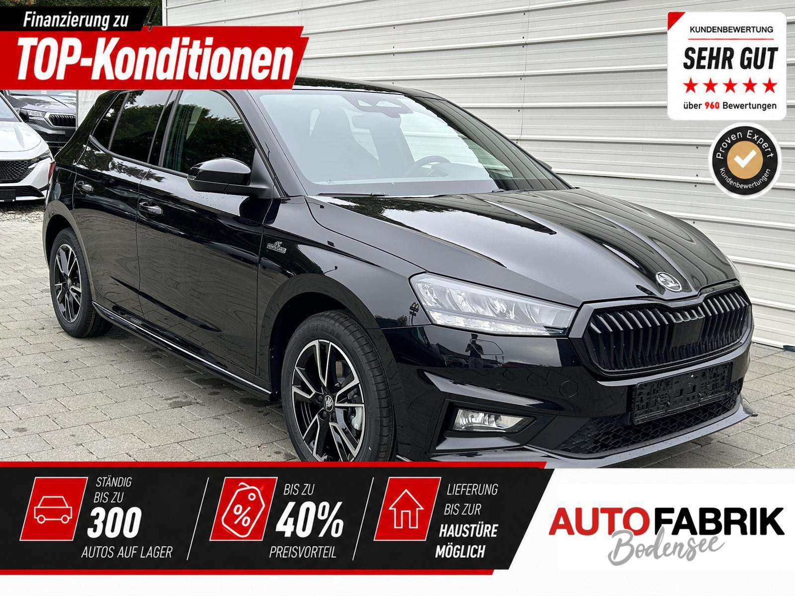 Fahrzeugbild eines Skoda Fabia