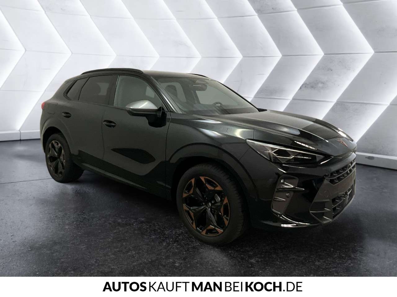 Fahrzeugbild eines CUPRA Terramar