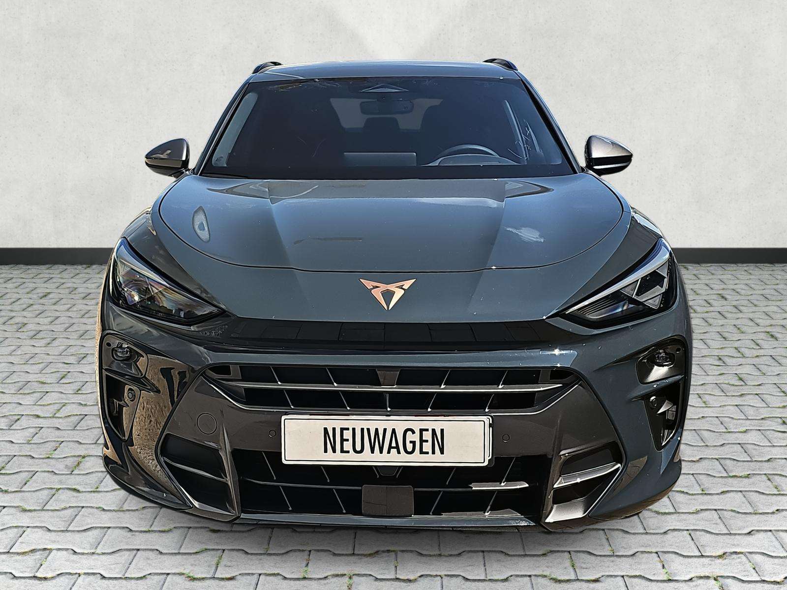 Fahrzeugbild eines CUPRA Terramar