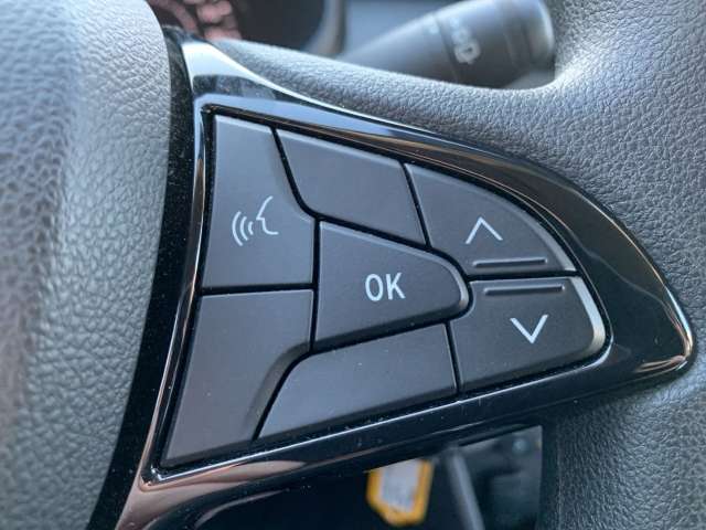 Fahrzeugbild eines Dacia Sandero