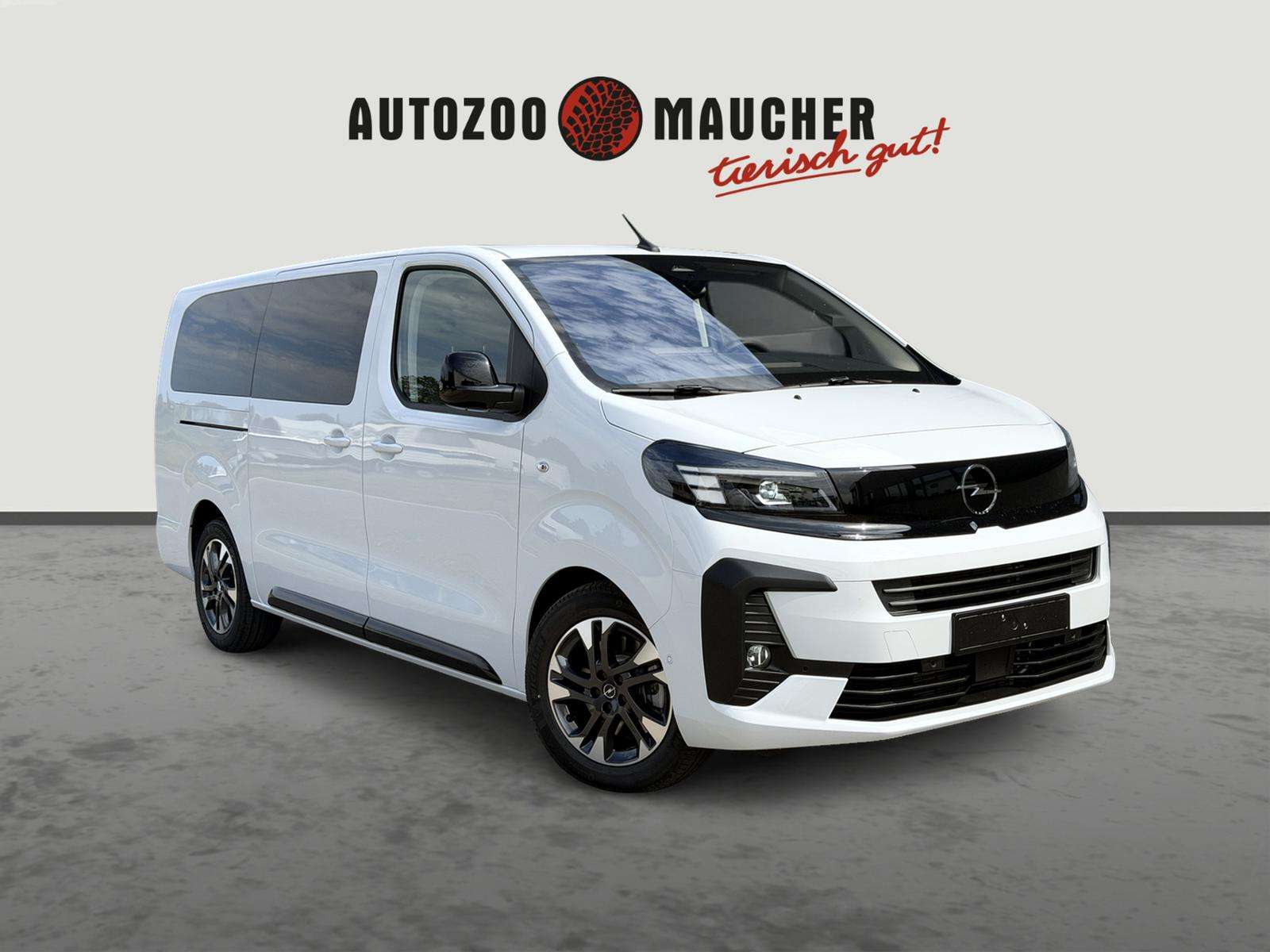 Fahrzeugbild eines Opel Zafira Life