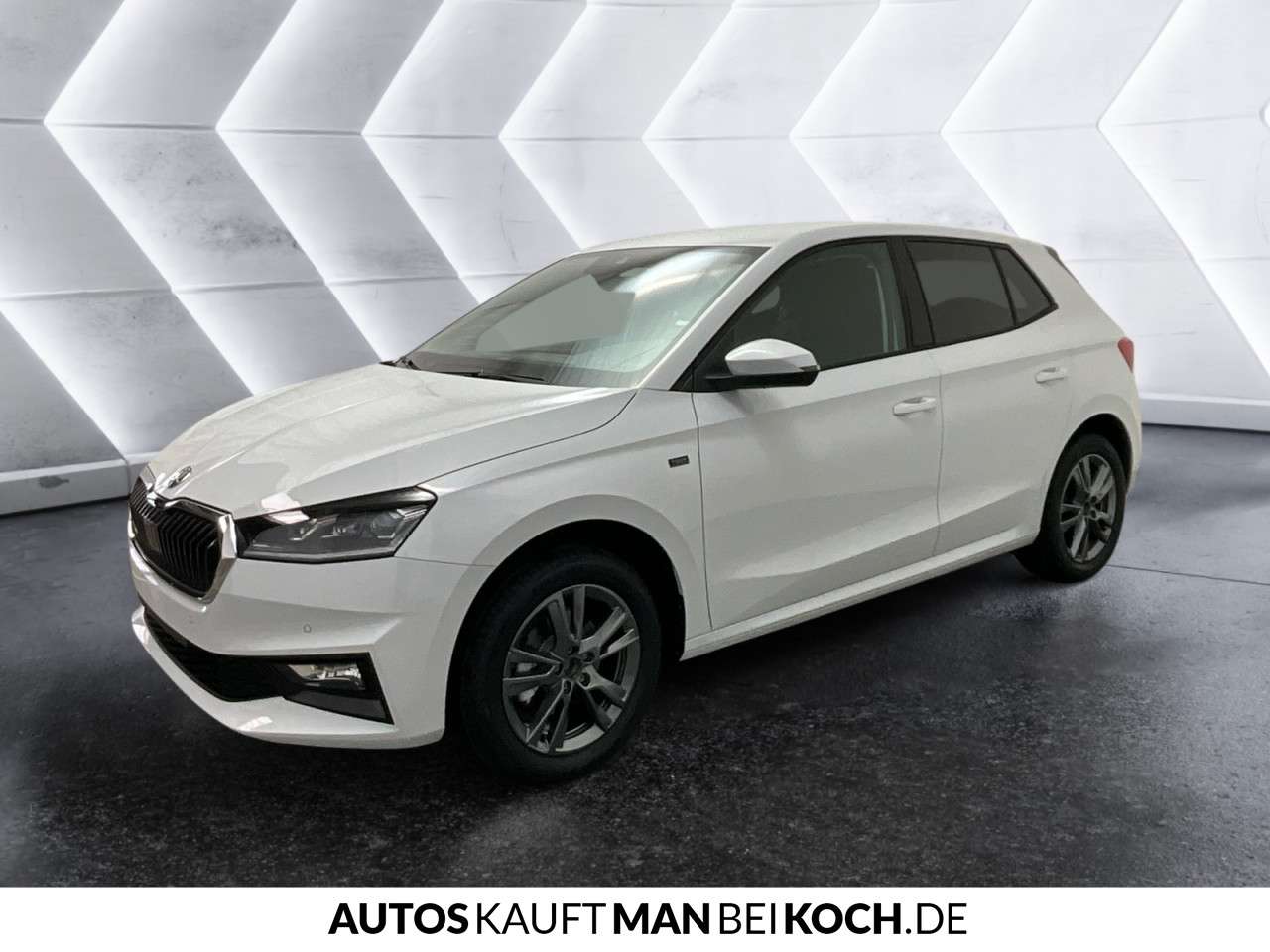 Fahrzeugbild eines Skoda Fabia