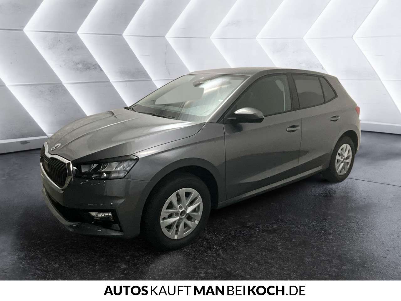 Fahrzeugbild eines Skoda Fabia