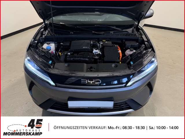 Fahrzeugbild eines BYD Atto 2