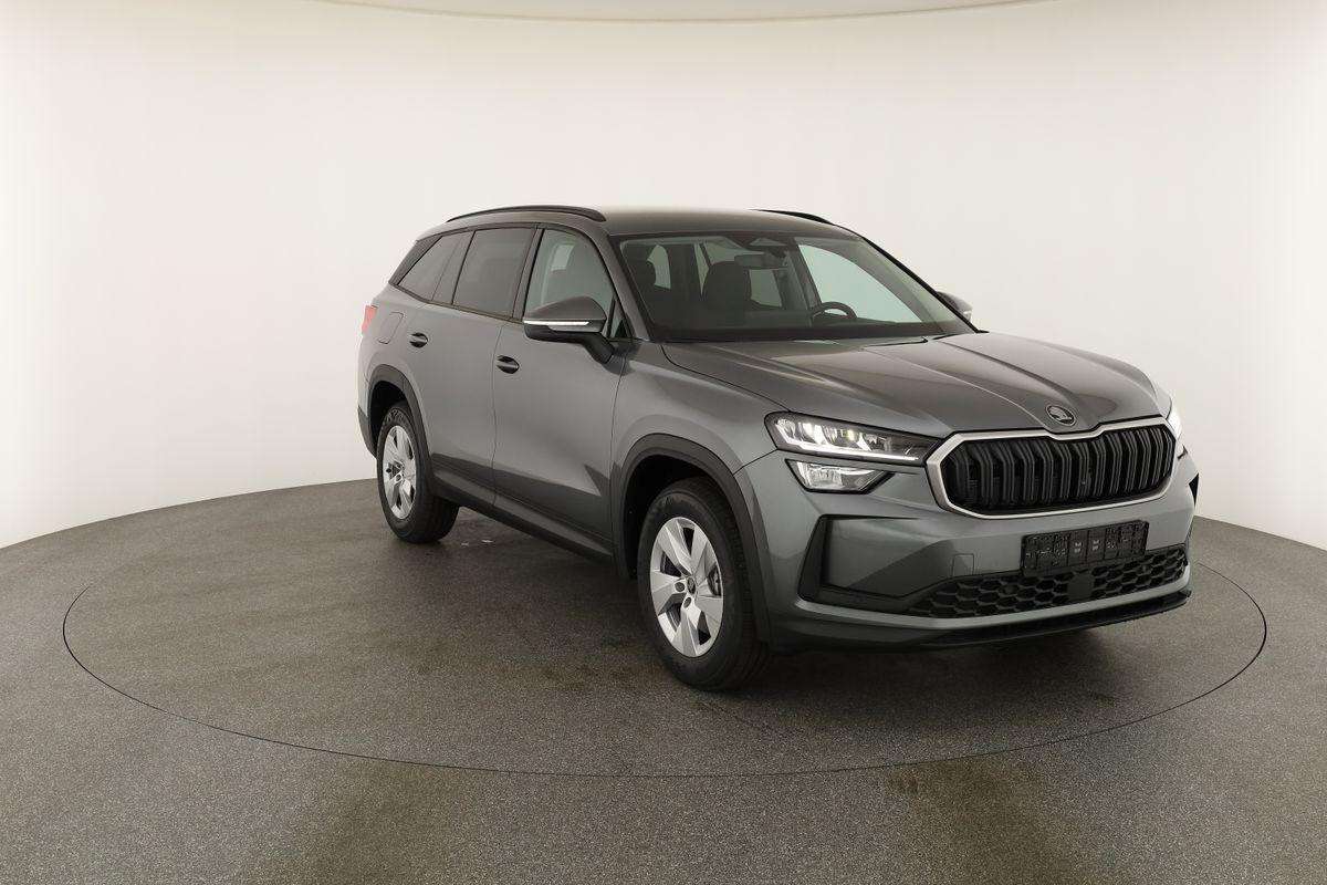 Fahrzeugbild eines Skoda Kodiaq