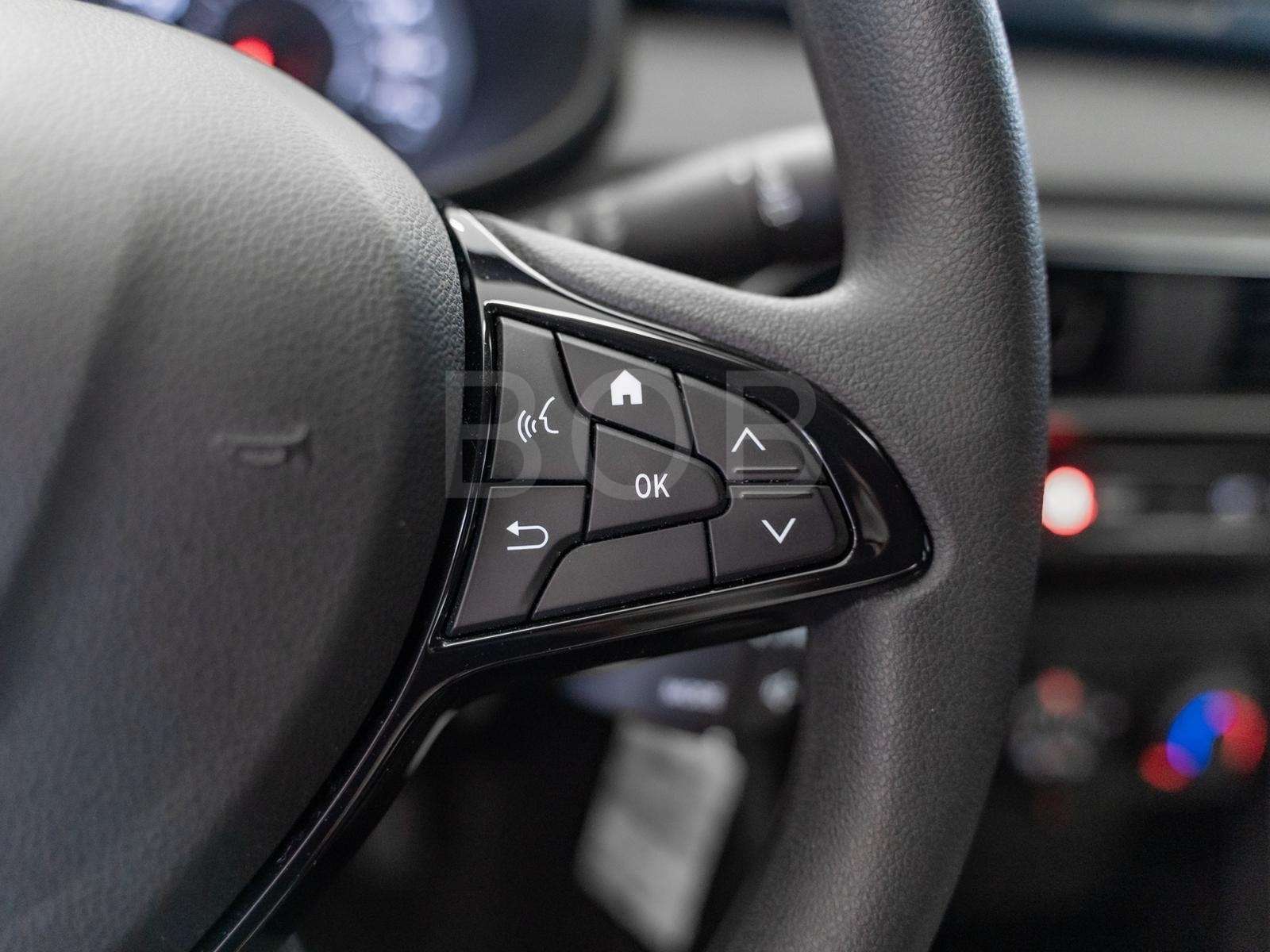 Fahrzeugbild eines Dacia Sandero