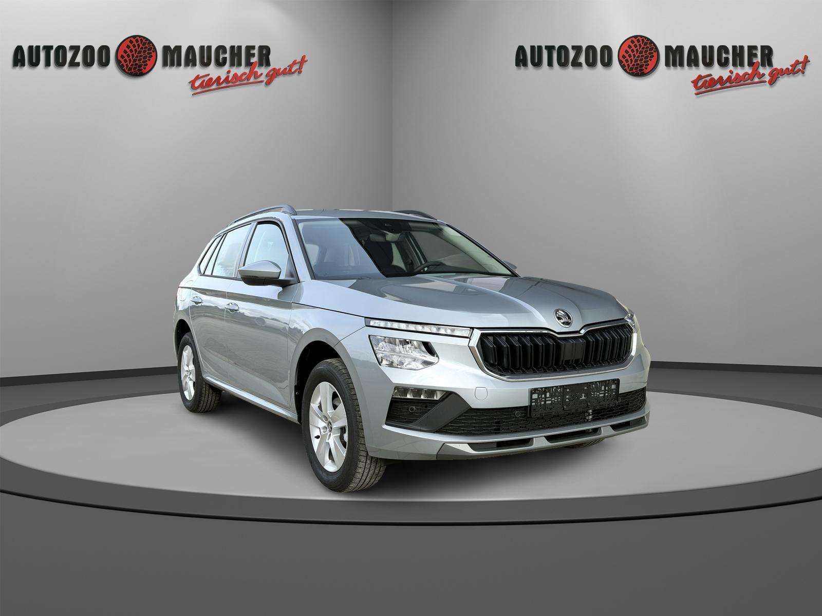 Fahrzeugbild eines Skoda Kamiq