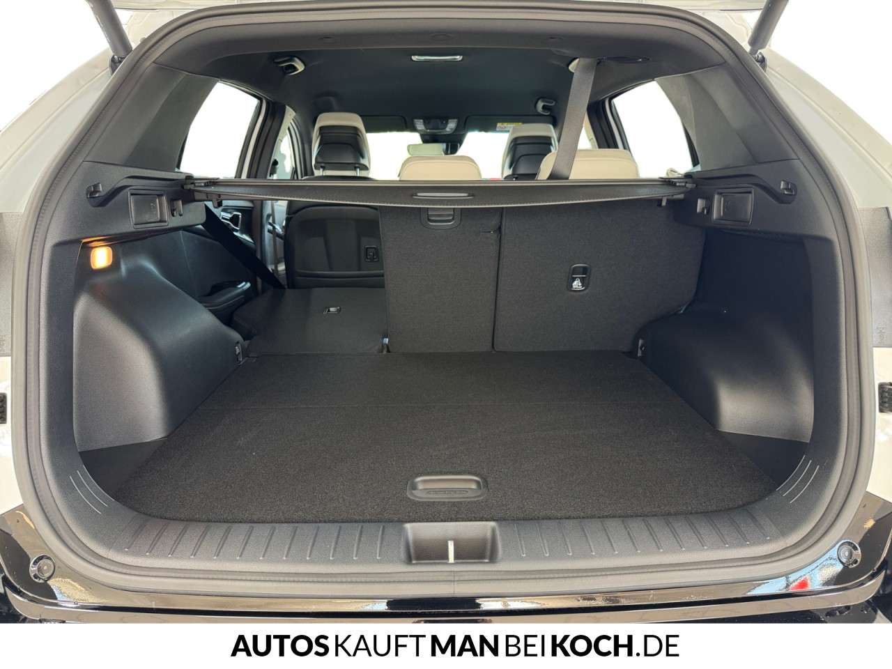 Fahrzeugbild eines Kia Sportage