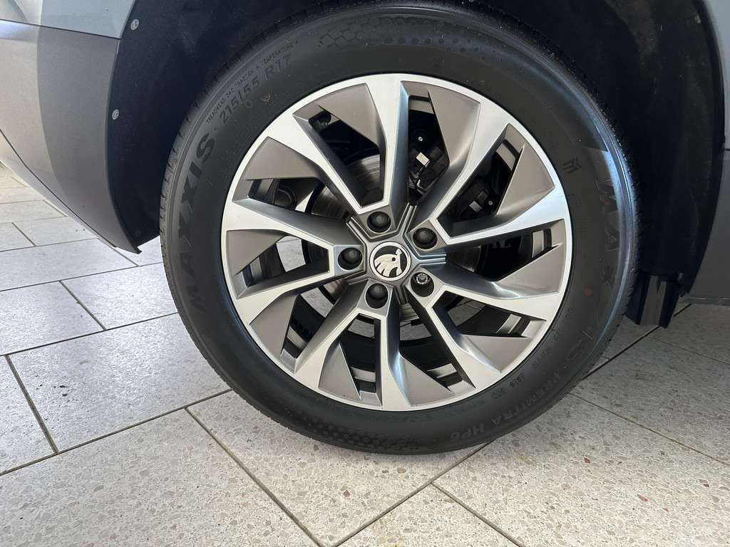 Fahrzeugbild eines Skoda Karoq
