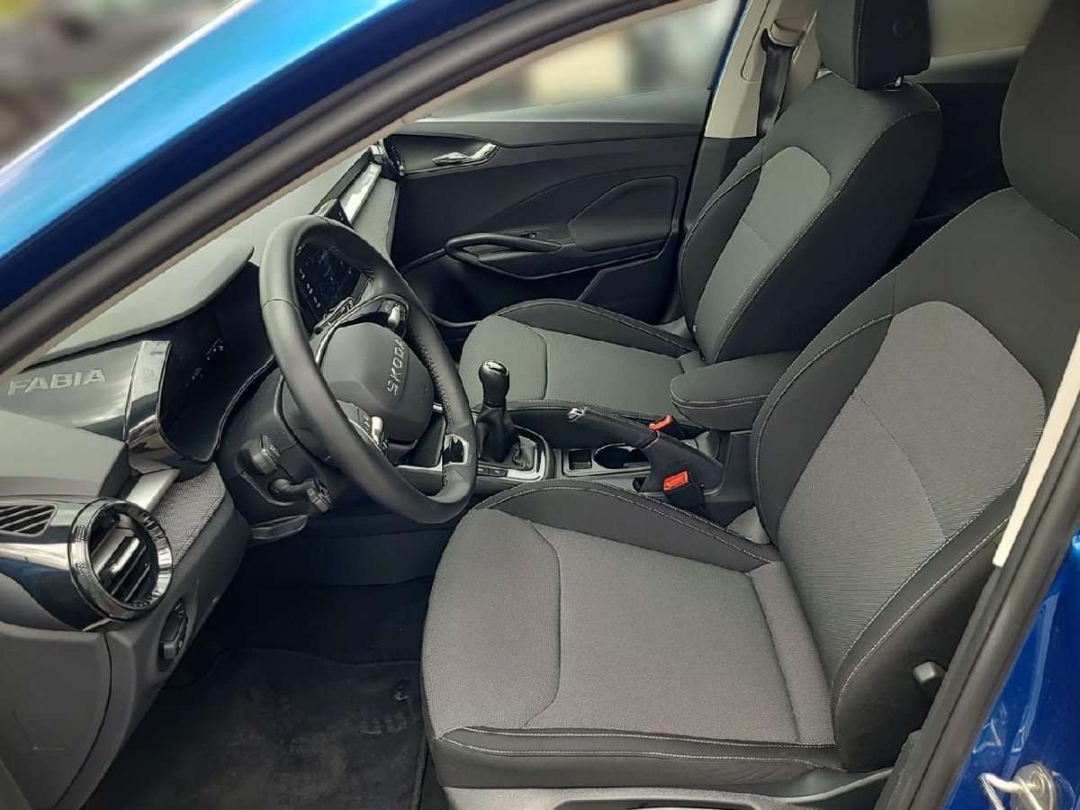 Fahrzeugbild eines Skoda Fabia